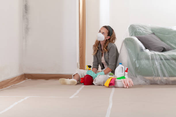 Reliable Basement Mold Remediation contractor in Moyock, NC by WQB Mold Removal